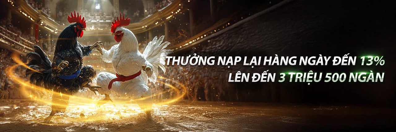 Hình ảnh Điều khoản Dịch vụ new889